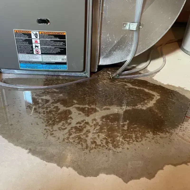 Appliance Leak Cleanup in Catawba County, NC